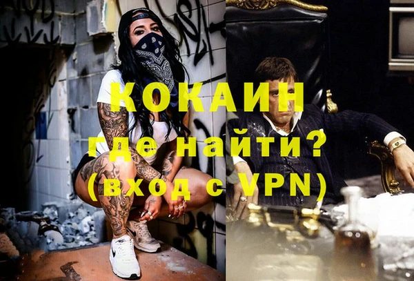 apvp Алзамай