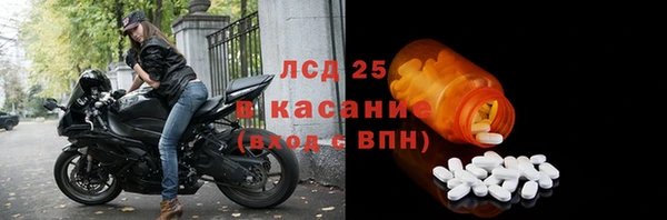 стаф Алексин