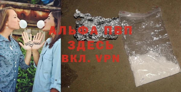 стаф Алексин