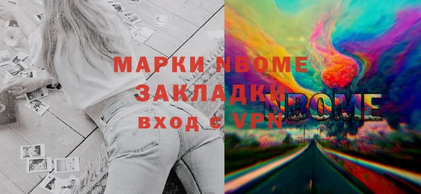 стаф Алексин