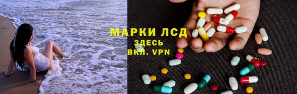 стаф Алексин