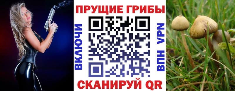 что такое наркотик  Магадан  Псилоцибиновые грибы Psilocybe 