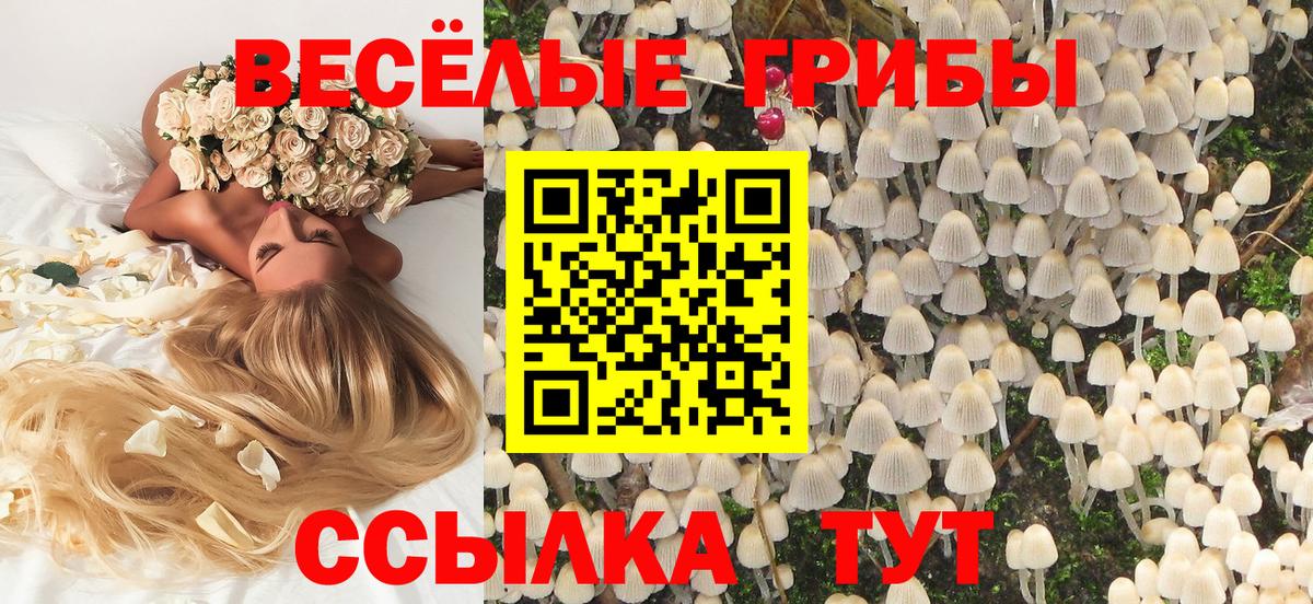 Псилоцибиновые грибы GOLDEN TEACHER Магадан
