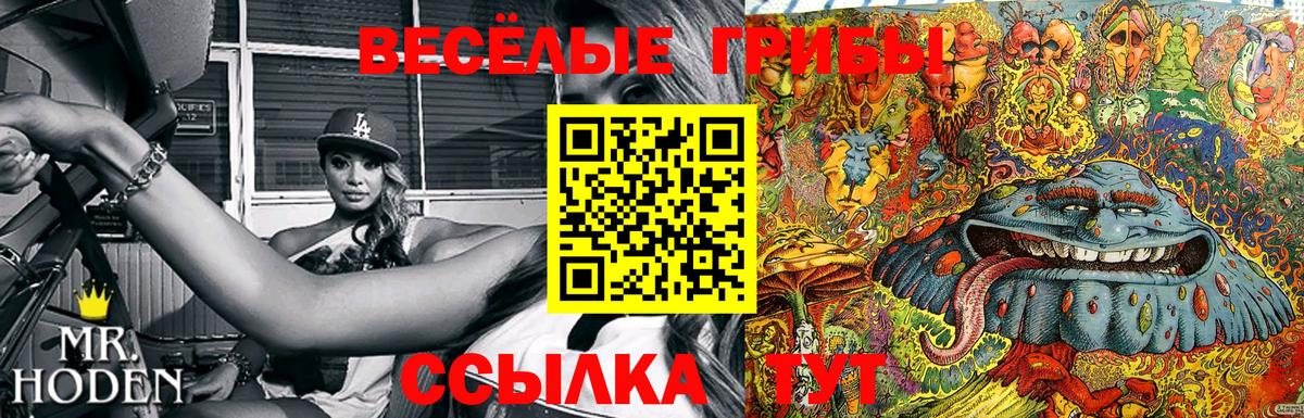 купить закладку  Вход с VPN  Магадан  Псилоцибиновые грибы Psilocybine cubensis 